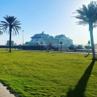 مسك (@kashkooooll) Twitter profile photo