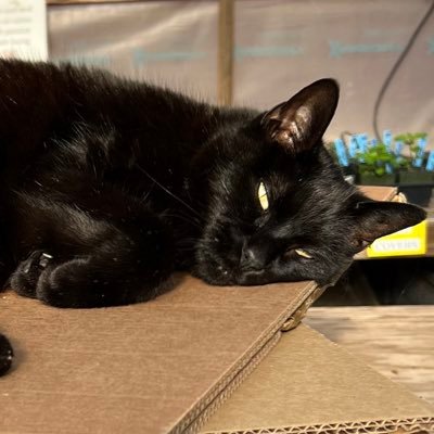 TESCOrganicFarm's profile picture. The Organic Farm at The Evergreen State College