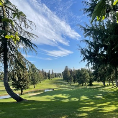 Giantravis's profile picture. 