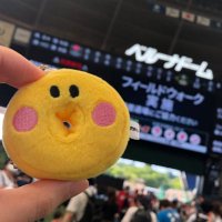 しっぽ🦁 (@lions_shippo) 's Twitter Profile