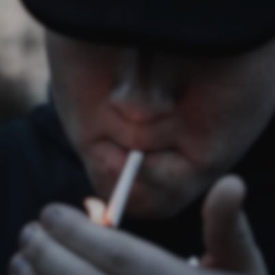 cinokincy's profile picture. 