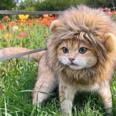 ☆アユタク☆ 💫💫さんのプロフィール画像