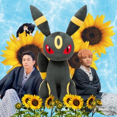 めんまさんのプロフィール画像