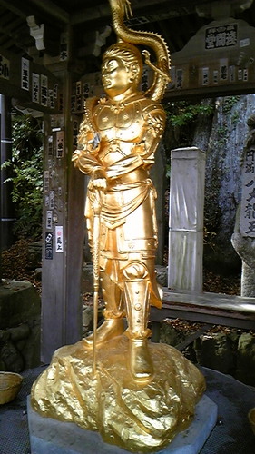 robertoshi's profile picture. 