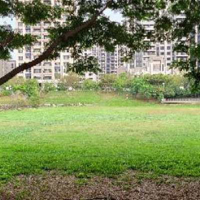 lori5200's profile picture. 