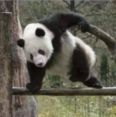 Tyler1_94's profile picture. miner