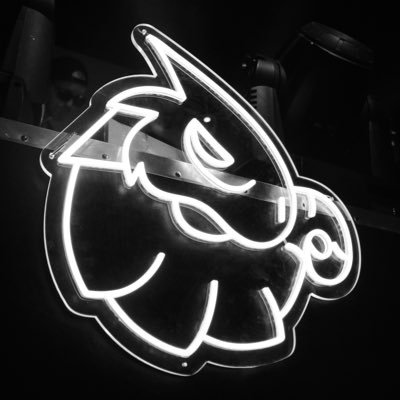 gekqomgmt's profile picture. 🦎 EDM events & artist management