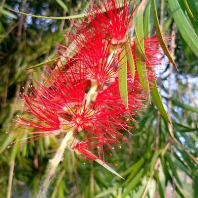 Scorpionmoonk's profile picture. You know I know that you know I know