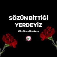 Necip Fazıl (@nfkarakecili) Twitter profile photo