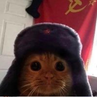 Swept (@ssweptt) 's Twitter Profile