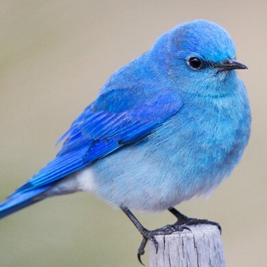 Gayatri40713785's profile picture. The path to achieving great success is not easy.