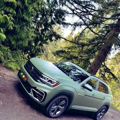 LabdYoyo's profile picture. Hmmm