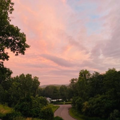 gabby12355's profile picture. 