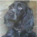 Jorge Luis Bosque Oliva - @OlivaBosque - Twitter