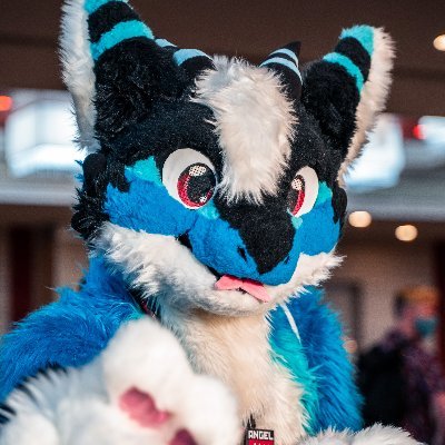 Angel Dragon / Nardoragon ｜ English/中文｜ESTP

｜Fursuiter｜ASMLer｜Travel lover｜

｜SFW/Cute

｜Suit: @Hinata_Sagi

｜pfp: @Kavaeric / banner: BLFC photo booth