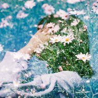 ハナユイ (@ha_na_yui) 's Twitter Profile