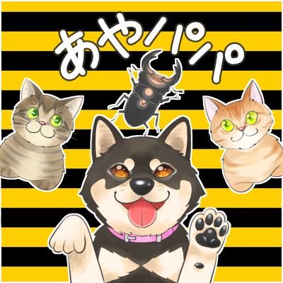 あやパパさんのプロフィール画像
