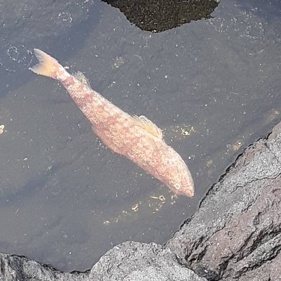 焦燥に駆られる男