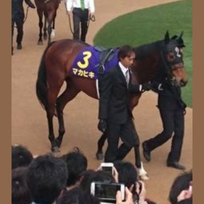 🐴競馬、🚤ボート、🚴競輪、⚽サッカーくじ

中央競馬🐴～地方競馬🐴。
モーニング🚤🚴～ミッドナイト🚤🚴。

いわゆるギャン中(笑)
たまに予想もつぶやいてます。