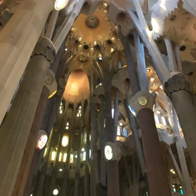 ternao2's profile picture. いろいろ頑張ってます