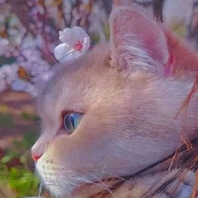 Anvita31047972's profile picture.