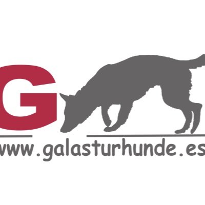 Bienvenido a Galasturhunde, una comunidad global para los amantes de los productos naturales para perros de gran calidad.