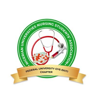 nunsafuoye's profile picture. 