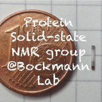 Anja Böckmann's lab (@bockmannlab) 's Twitter Profile