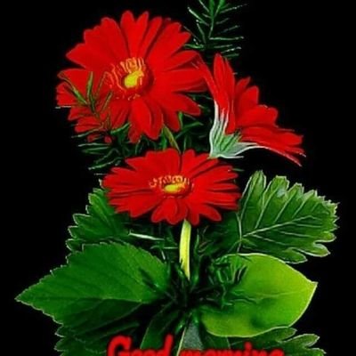 nannes904's profile picture. I love blogging. Do you want to earn easy money online just by posting, likes, and shares. Join this awesome website and start.
https://t.co/i7C9NzdWt9