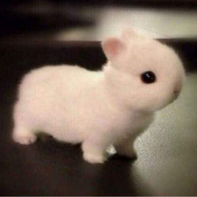 anicca837's profile picture. 