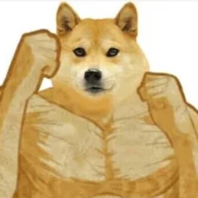 Modbot__Discord's profile picture. Just A Small Discord Bot With A Big PP