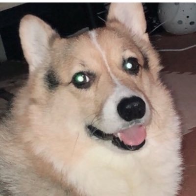 casper0428gb's profile picture. ･｡♥｡･ﾟRock 'n' Roll･｡♥｡･ﾟ