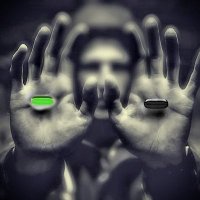 Green Liberty 💚🥦💚 (@green_with_me) 's Twitter Profile