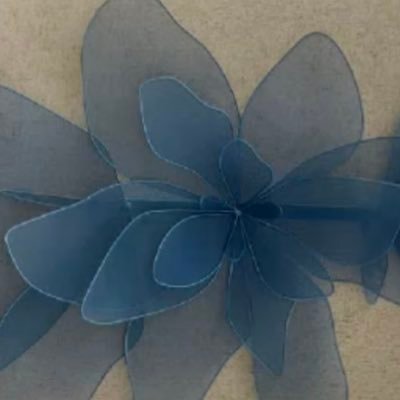 xxNOUF37's profile picture. 