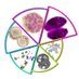 WallerLab (@camwallerlab) Twitter profile photo WallerLab (@camwallerlab) Twitter profile photo