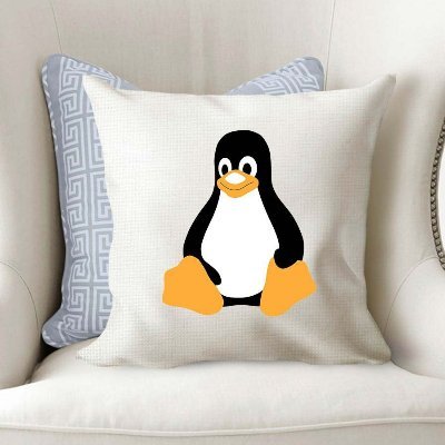initbin's profile picture. Linux lover