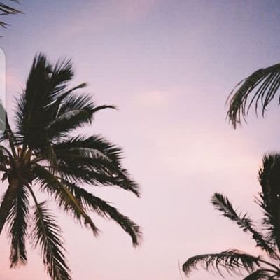 aboutyo_'s profile picture. 