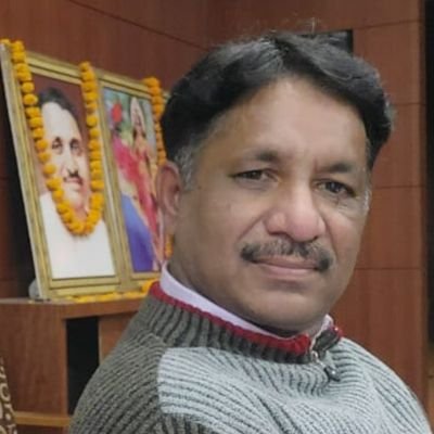 Dpl46987936's profile picture. B+