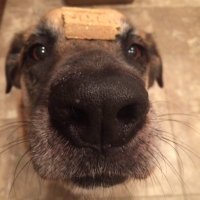 reducs (@reducss) 's Twitter Profile