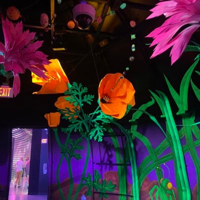 JessieF83368163's profile picture. 