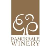 Pamukkale (@pamukkalesever) 's Twitter Profile