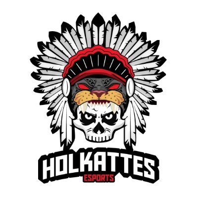 🏆 Formando campeones. 
🎮 Equipo profesional Multigaming
#GoHolkattes