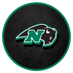 Nichols College Athletics (@ncbison) Twitter profile photo