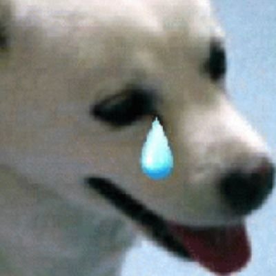 趣味 Ado 塗り絵 断捨離 ネット 配信 オケ ツべ 洋画ドラマ 韓流 アニメ ペット 動物全般 歴史 近代史 現代史 日本史 世界史 経済学 読書 将棋 麻雀 英語 韓国語 スペイン語 歌ってみた K-POP 洋楽 ダイエット ウォーキング ザリガニ釣り ヨガ 創造 瞑想 妄想 被害妄想