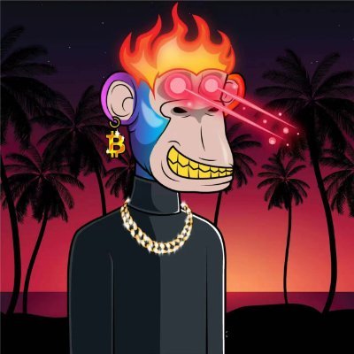 cyptotank10's profile picture. 