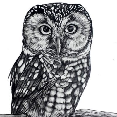 9thwatch's profile picture. 