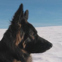 Bernd Erb (@bernderb1) 's Twitter Profile Photo