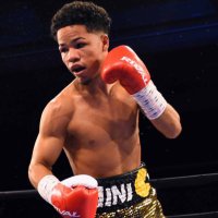 MiniPac-Man (@minipacm) 's Twitter Profile