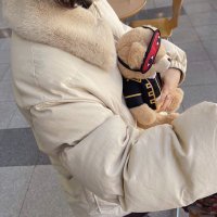 もりなが (@laqforest) Twitter profile photo