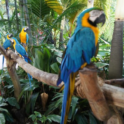 krishna61796077's profile picture. Data scientist, Traveller, Foodie, Nature admirer